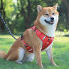 Petease Reflective No-Pull Dog Harness – Breathable, Adjustable Vest for All Sizes