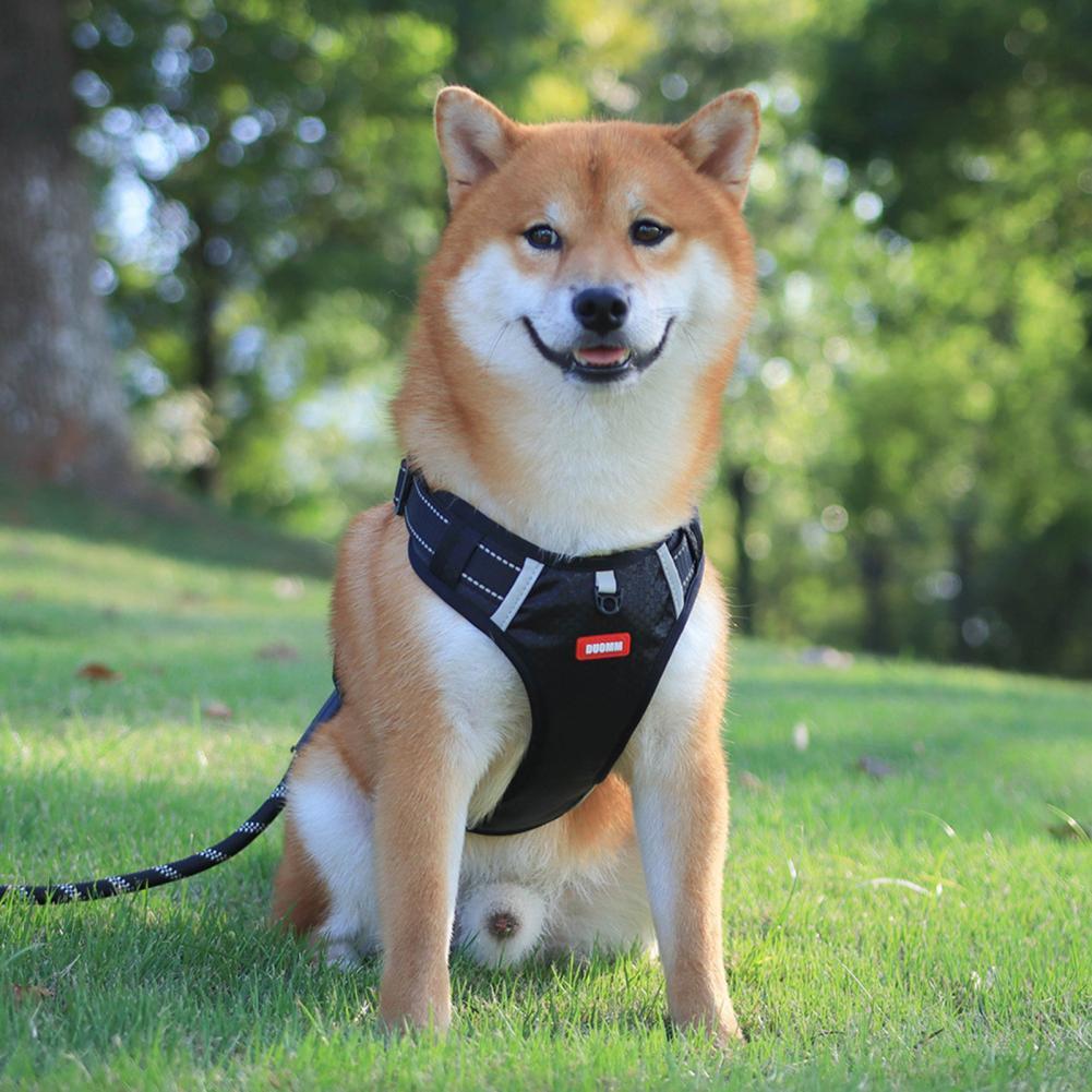 Petease Reflective No-Pull Dog Harness – Breathable, Adjustable Vest for All Sizes
